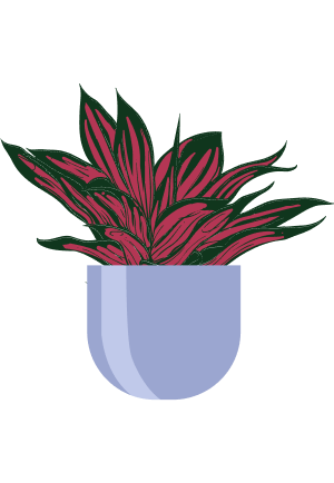 Banana illustration