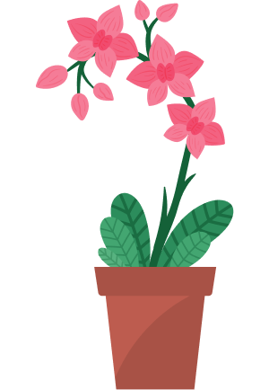 Banana illustration